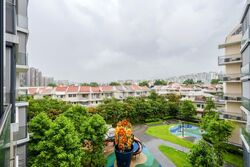 The Gazania (D19), Condominium #561297841